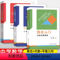 [全套3册]数论/平面几何/代数 [正版]数论入门 从故事到理论(单墫著)初中数学 中的概念与定理中学生简明数论辅导