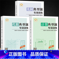 计算+几何+代数[全套3册] 八年级 [正版]初中数学计算几何代数典型题专项训练七八九年级全一册初中必刷题