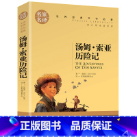 汤姆索亚历险记 [正版]5本25元傲慢与偏见原着原版 初中高中小学生课外阅读书籍小说 青少年名著书籍 成人阅读名著书籍名