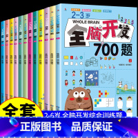 全套12册2-6岁全脑开发 [正版]2-3岁全脑开发700题(共3册)幼儿智力开发 2-6岁幼儿园数学小班思维训练逻辑专