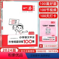 [正版]2024版 第11次修订一本小升初小学语文毕业升学阅读训练100篇 开心一本语文专项阅读小学升初中小学毕业升学