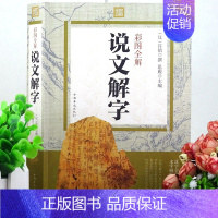 [正版]彩图版 说文解字 注音版 原文译本注释 图解古代汉语字典古文字字典 咬文嚼字细说汉字故事画说汉字全集语言文学