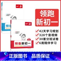 小升初专用[预备新初一]语文+数学全2册 小学通用 [正版]2024小学知识大盘点语文数学英语基础知识大全四五六年级考试