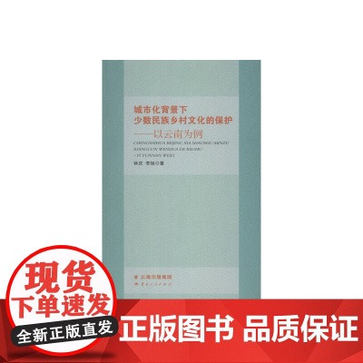 城市化背景下少数民族乡村文化的保护——以云南为例