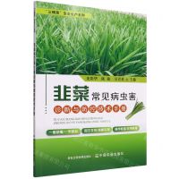 [N]韭菜常见病虫害诊断与防控技术手册/三棵菜安全生产系列-9787109294745