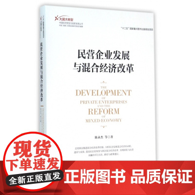 民营企业发展与混合经济改革/大国大转型中国经济转型与创新