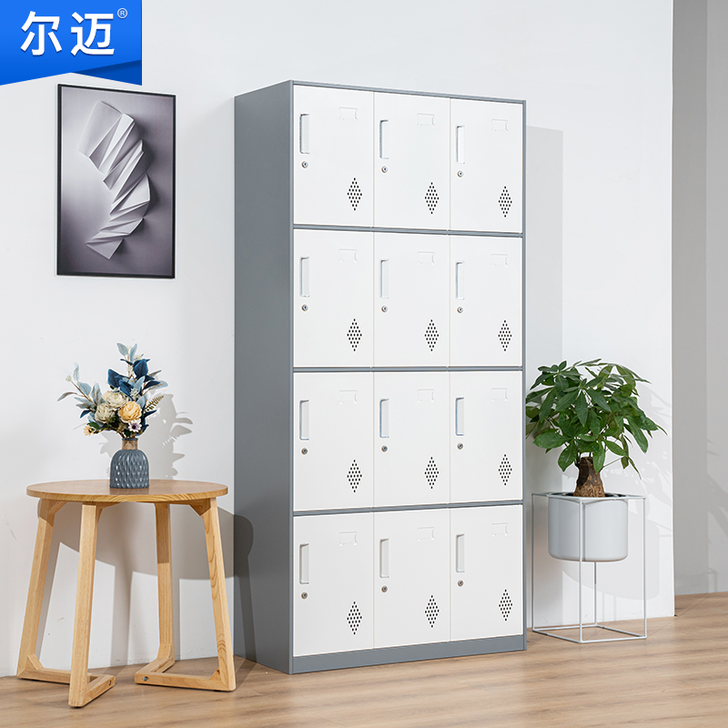 尔迈 薄边更衣柜拆装铁皮柜储物柜员工柜寄存柜存包柜鞋柜宿舍行李柜 灰白套色十二门更衣柜