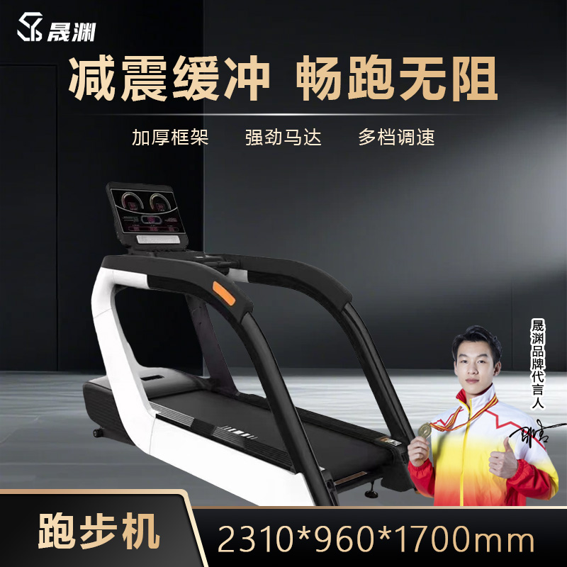 晟渊 跑步机家庭用智能降噪可折叠爬坡走步机宽大跑台 YT8001