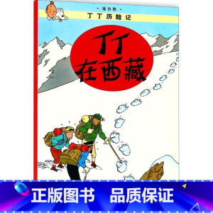 丁丁在西藏 [正版]丁丁在西藏