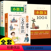 [全套3册]文学常识+小散文100课 小学通用 [正版] 小学必背文学常识 彩图版人教版 常考的一本全语文积累大全专项练