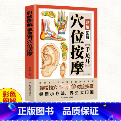 [正版]彩绘图解手足耳穴位按摩书籍 轻松找穴对症按摩 经络穴位按摩大全书籍 人体穴位经络图 中医穴位书籍中医推拿按摩畅