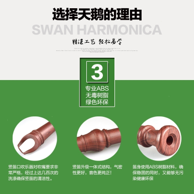 天鹅(TianE)竖笛8孔儿童学生成人初学课堂教学演奏高音德式八孔笛子