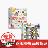 DK儿童图解百科全书系列 3-6岁 童书科普