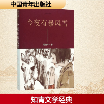 [M]今夜有暴风雪-9787515339955