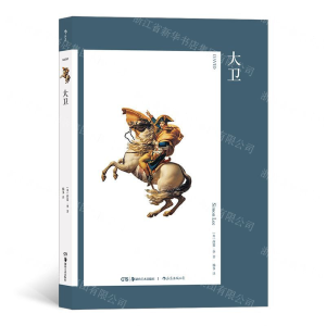 [M]大卫-9787535690036