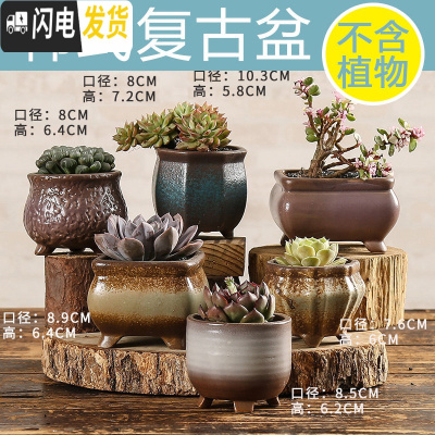 三维工匠多肉花盆陶瓷透气大口径家用创意粗陶肉肉植物小盆器 韩式复古盆(6个) 小花盆容器