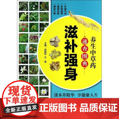 养生中草药速查图典主编徐国钧, 王强福建科学技术出版社9787533545710保健/心理类书籍/中医养生
