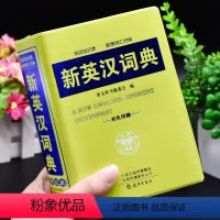 [正版]双色本2024年中小学生新英汉词典初中生中学生汉英双解中英文互译字典英语单词大全书多功能工具书英文词汇小字典小