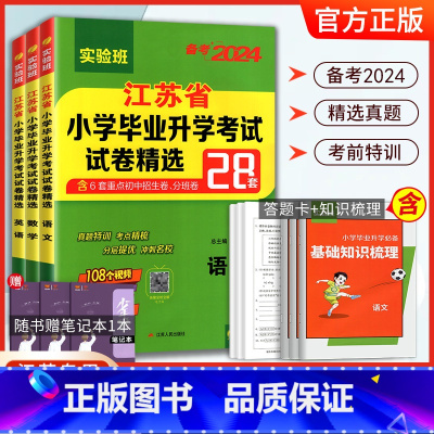 备考2024-英语 小学升初中 [正版]小升初2024江苏省小学毕业升初中考试卷精选28套卷语文数学英语2023春雨六年