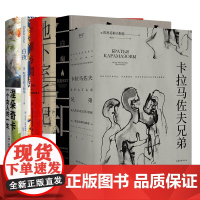 陀思妥耶夫斯基全集 世界经典文学名著书籍 罪与罚 白夜 地下室手记 白痴 卡拉马佐夫 涅朵奇卡 白痴