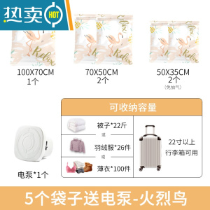 敬平抽真空压缩袋收纳袋专用真空气衣服抽气羽绒服打包带袋旅行行李箱 L:[适合22寸以上行李箱]5个袋子送电泵(快排气省力
