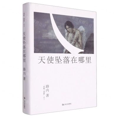 [N]天使坠落在哪里(精)/追随三部曲-9787532181735