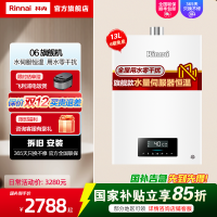 林内/Rinnai 13升燃气热水器13QH06/S06水量伺服器恒温 防风防冻