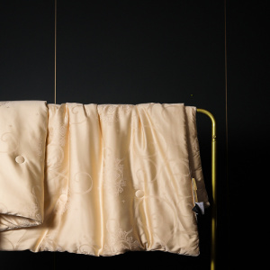 高档酒店同款金蚕丝大豆被贴身柔软不跑被双人美颜被芯送人乔迁