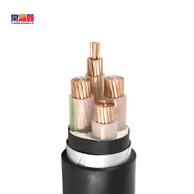 常顺鑫 低压铜芯电缆ZC-YJV22 3×10+1×6 米