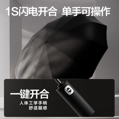 友谊船 全自动晴雨伞 22骨 个