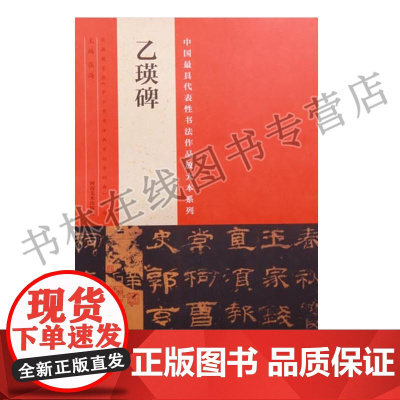 乙瑛碑 张海 中国具代表性书法作品放大本系列 毛笔字帖碑帖技法临摹鉴赏书法初学者教程书籍 河南美术出版社