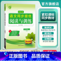 语文 七年级上 [正版]2024年秋 初中语文实验班同步提优阅读与训练七年级上册人教版 初一语文7年级上册RJ版同步专项