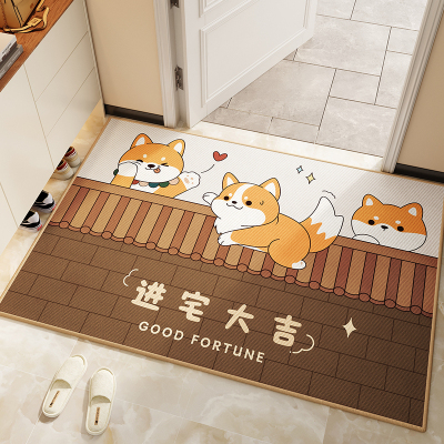 2025新款地垫入户门垫家用进门门口脚垫除尘防滑耐脏玄关地毯