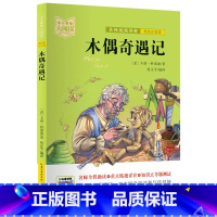 木偶奇遇记 [正版]中小学生大阅读系列丛书 爱的教育爱丽丝漫游奇境记安徒生童话小王子狐狸列那的故事一千零一夜昆虫记课内外