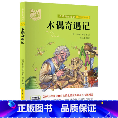 木偶奇遇记 [正版]中小学生大阅读系列丛书 爱的教育爱丽丝漫游奇境记安徒生童话小王子狐狸列那的故事一千零一夜昆虫记课内外