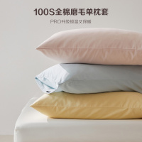 新款秋冬枕头套纯棉长绒棉磨毛单人枕套2只一对装枕头芯