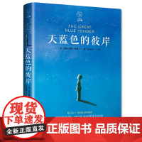 天蓝色的彼岸希尔希勒著正版国际大奖儿童文学系列小学生四五六年级课外书10—12—14岁故事书藉北京联合出版公司新世界出版