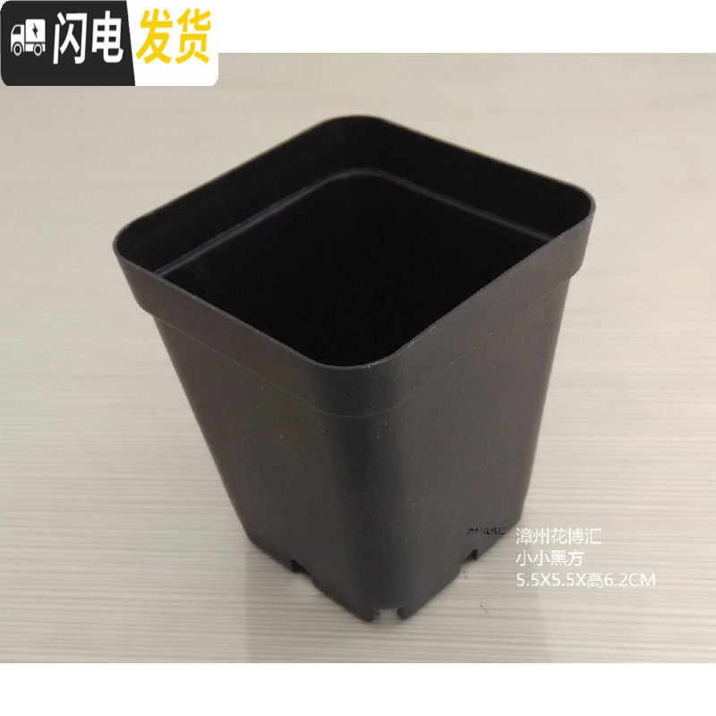 三维工匠掌柜推荐桌面简约多肉植物花盆小黑方扦插育苗塑料方盆价优 黑色5.5x5.5x6.0cm40个 中小花盆容器