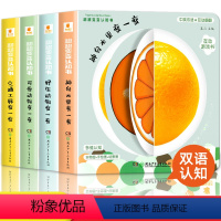 [正版]阳光宝贝翻翻变变认知书全4册幼儿启蒙早教书儿童绘本0到3岁1-2周岁宝宝书籍一岁半两岁撕不烂益智书本婴儿触摸3