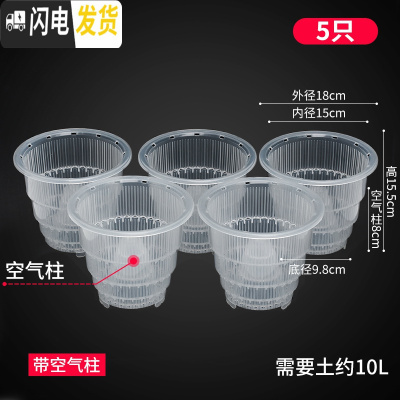 三维工匠美莳控根花盆石斛专用盆 透气 洋兰花盆蝴蝶兰盆塑料花盆创意透明 5只15cm透明盆带空气柱买的多 小花盆容器