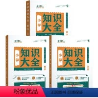 [3本]语文+数学+英语 小学通用 [正版]2024新版天天向上小学语文知识大全数学英语一二三四五六年级小升初知识集锦词