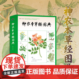 神农本草经图典 新书