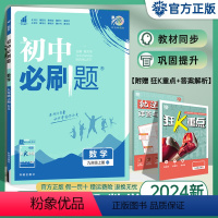 数学 九年级上 [正版]HS版2024版 初中九年级上册数学 华师版 初三九年级上册数学书同步训练复习资料 理想树67九