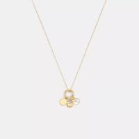 COACH水果吊坠项链女黑盒包装苹果葡萄番茄造型锁骨链 cm