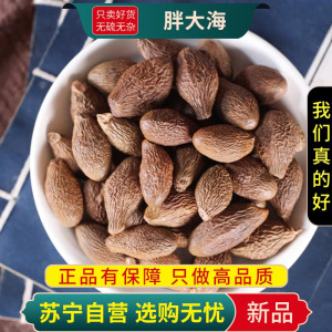 甄选胖大海100克干货正品新货煮水泡茶凉茶另售甘草罗汉果金银花菊花