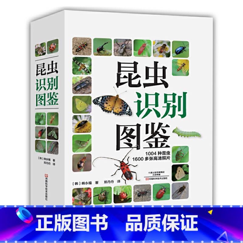 [正版]昆虫识别图鉴 1004种昆虫1600多张高清照片自然百科知识读物全书科普书韩永植动物世界昆虫图鉴识别辨认入门书