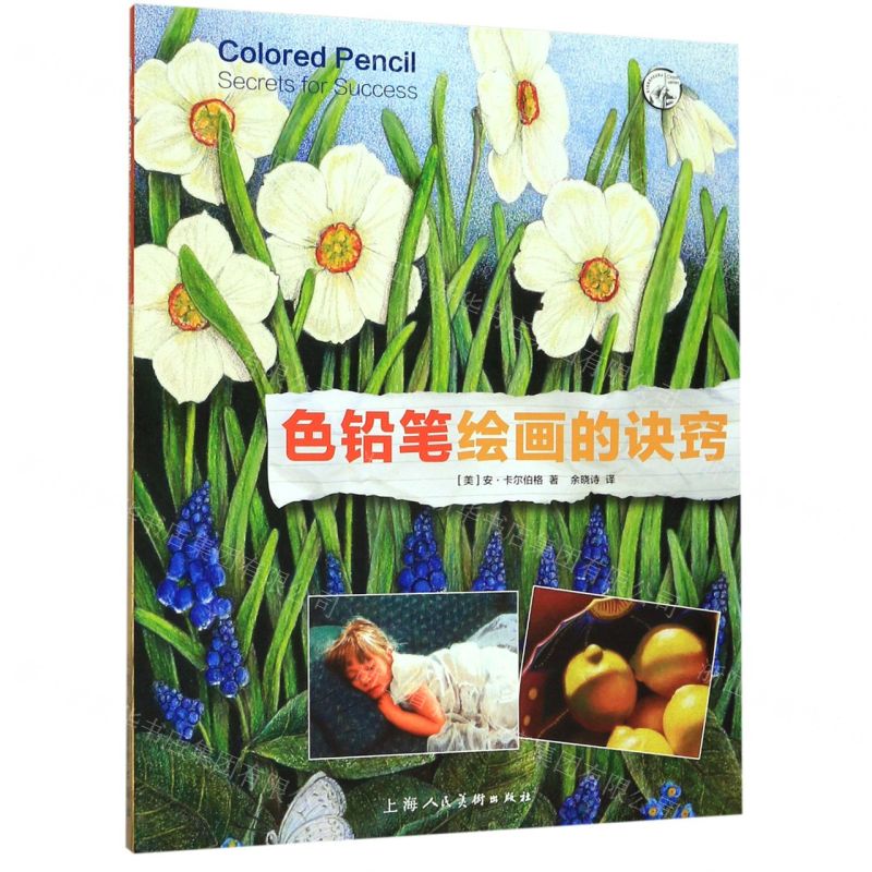 [N]色铅笔绘画的诀窍/西方经典美术技法译丛-9787558614859