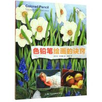[N]色铅笔绘画的诀窍/西方经典美术技法译丛-9787558614859