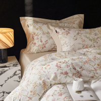 高级感秋冬120s超细旦天丝棉磨毛四件套柔软加厚美式床单被套床品