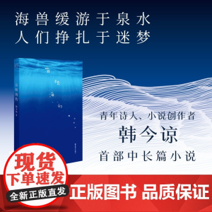 盲眼海豹 韩今谅 著 中国工人出版社·尺寸 长篇小说中国当代现代文学大众文艺《送你一朵小红花》《我爱你!》编剧首部中长篇